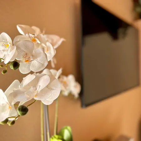 Casa Gio.anna Apartamento