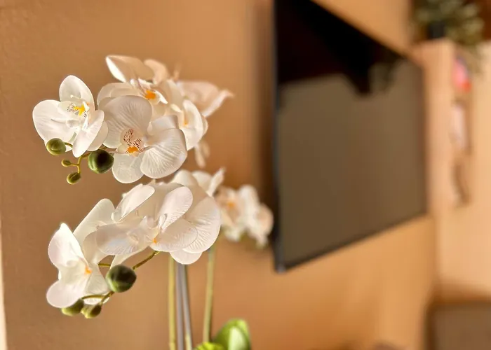 Casa Gio.anna Apartament